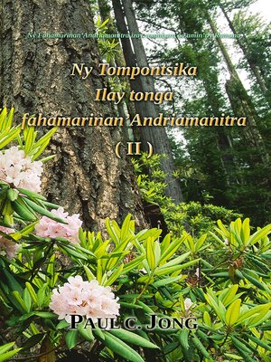 cover image of Ny Fahamarinan'Andriamanitra izay voambara ao amin'ny Romana--Ny Tompontsika Ilay tonga fahamarinan'Andriamanitra (II)